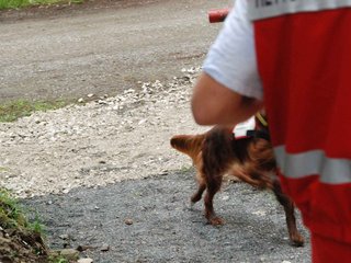 2009-08-22_ntb_6457