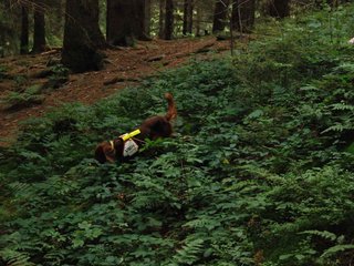 2009-08-22_ntb_6460