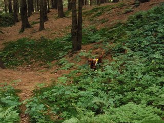 2009-08-22_ntb_6461