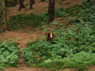 2009-08-22_ntb_6462