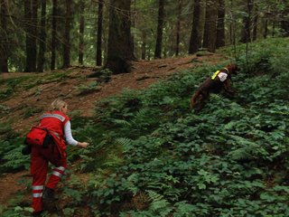 2009-08-22_ntb_6465