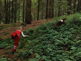 2009-08-22_ntb_6466