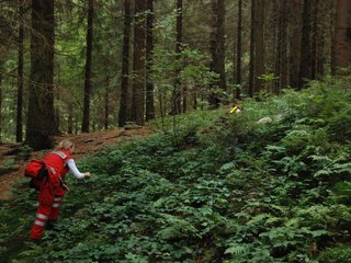 2009-08-22_ntb_6467