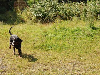 2009-08-23_ntb_6555