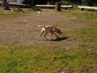 2009-08-23_ntb_6605