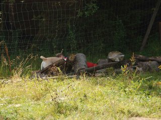 2009-08-23_ntb_6608