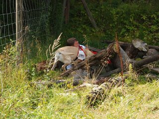 2009-08-23_ntb_6609