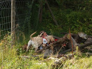 2009-08-23_ntb_6610