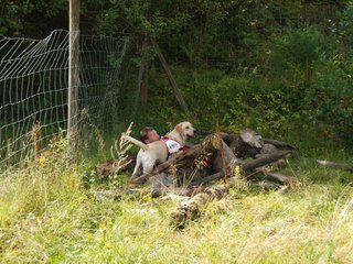 2009-08-23_ntb_6612