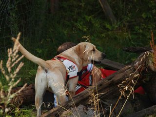 2009-08-23_ntb_6614
