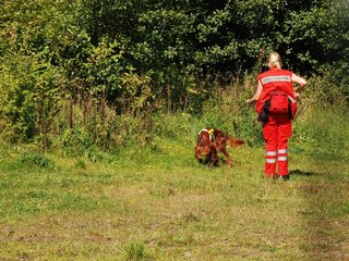 2009-08-23_ntb_6621