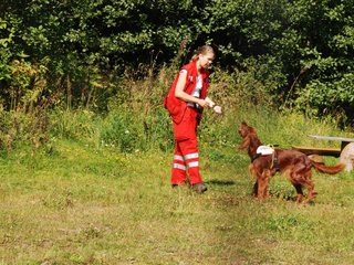2009-08-23_ntb_6624