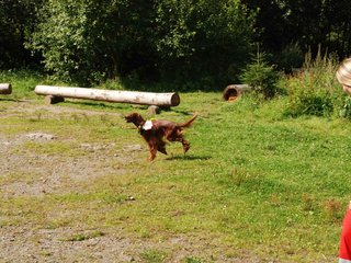 2009-08-23_ntb_6630