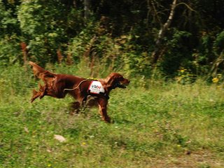2009-08-23_ntb_6632