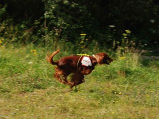 2009-08-23_ntb_6633