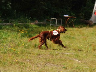 2009-08-23_ntb_6634