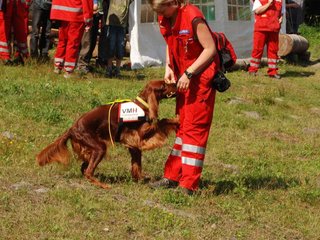 2009-08-23_ntb_6636
