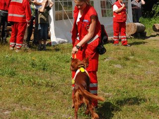 2009-08-23_ntb_6637