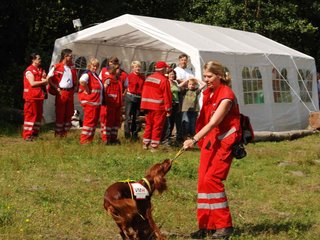 2009-08-23_ntb_6639