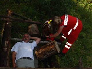 2009-08-23_ntb_6643