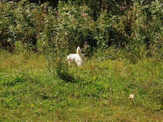 2009-08-23_ntb_6649