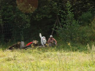 2009-08-23_ntb_6651