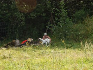2009-08-23_ntb_6652
