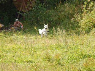 2009-08-23_ntb_6653