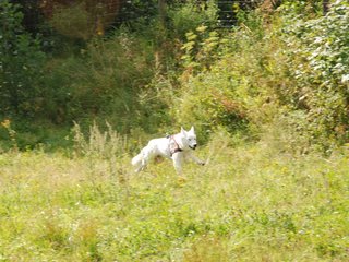 2009-08-23_ntb_6654