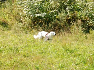 2009-08-23_ntb_6655