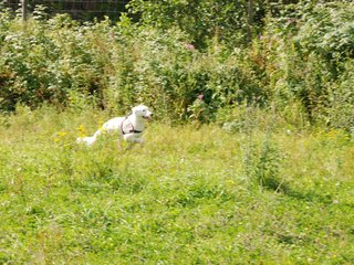 2009-08-23_ntb_6656