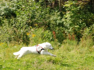 2009-08-23_ntb_6657