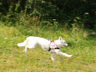 2009-08-23_ntb_6658