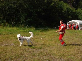 2009-08-23_ntb_6669