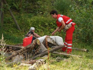 2009-08-23_ntb_6674