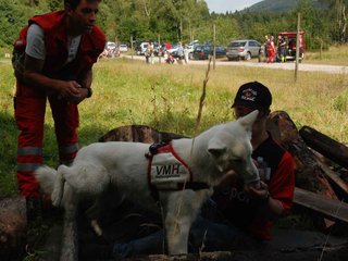 2009-08-23_ntb_6675