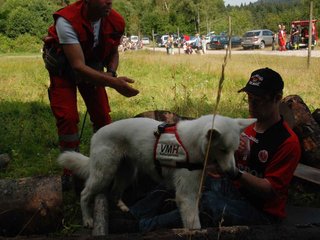 2009-08-23_ntb_6676