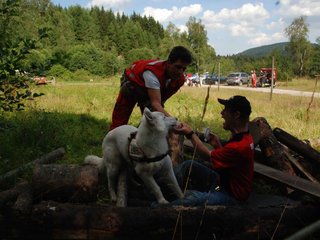 2009-08-23_ntb_6679