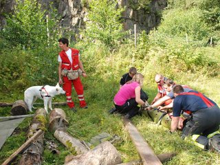 2009-08-23_ntb_6735