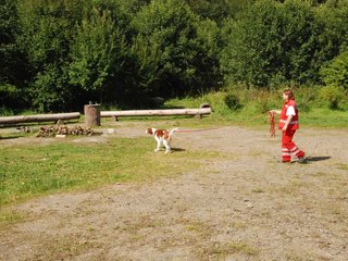 2009-08-23_ntb_6752