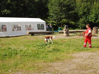 2009-08-23_ntb_6753