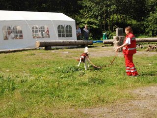 2009-08-23_ntb_6754