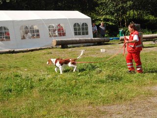 2009-08-23_ntb_6755