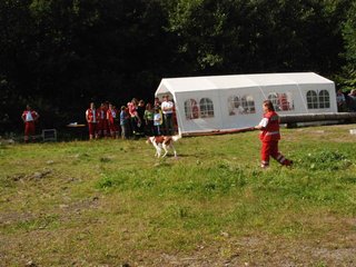 2009-08-23_ntb_6756