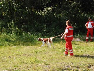 2009-08-23_ntb_6757