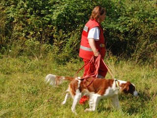 2009-08-23_ntb_6769
