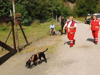 2009-08-23_ntb_6778
