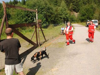 2009-08-23_ntb_6779