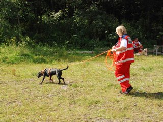 2009-08-23_ntb_6781