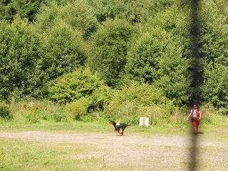 2009-08-23_ntb_6797